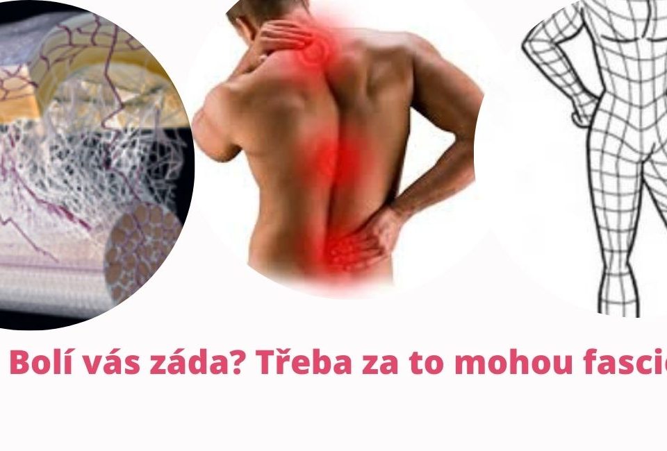 Back Pain? Your Fascia Might Be the Hidden Culprit