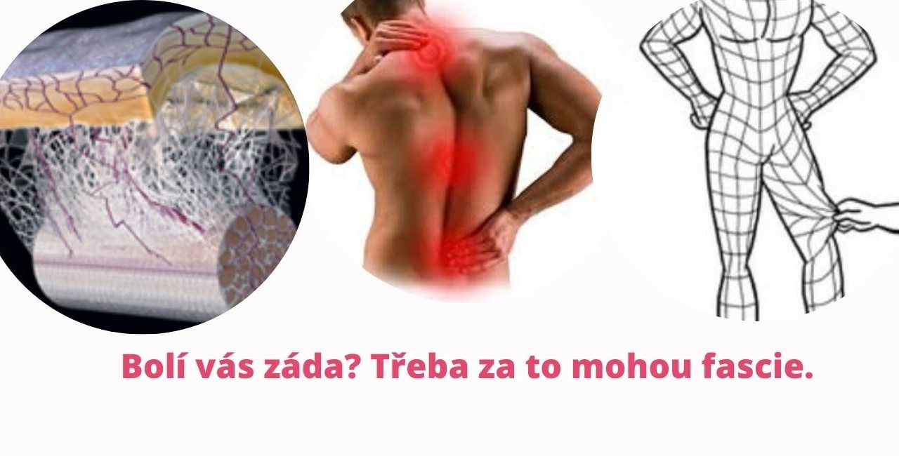Back Pain? Your Fascia Might Be the Hidden Culprit