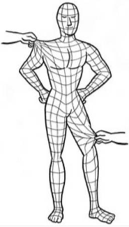Diagram showing sources of back pain
