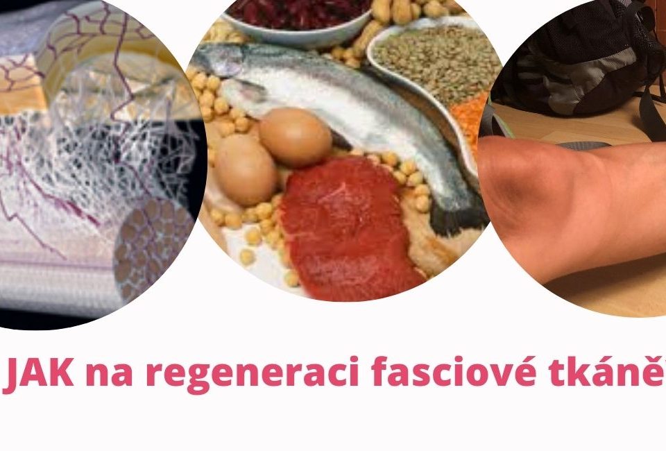 How to regenerate fascial tissue? martinafallerova.cz