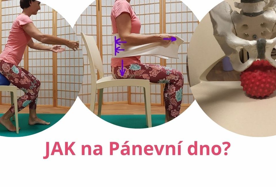 Why Your Pelvic Floor Is the True Core of Your Body