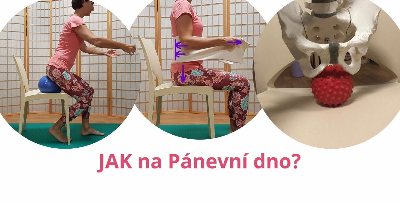 Why Your Pelvic Floor Is the True Core of Your Body