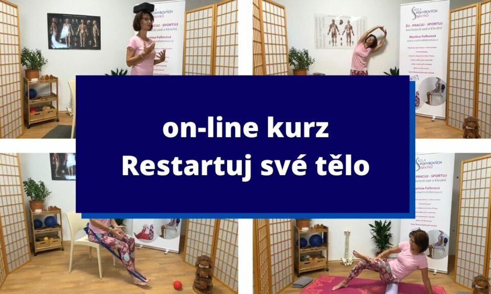 Screenshot from the "Restart Your Body" online video course.