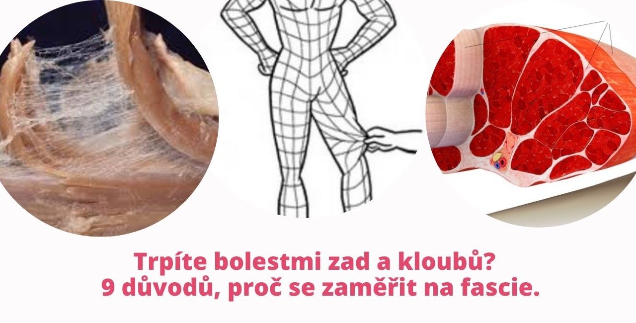 Suffer from Back and Joint Pain? 9 Reasons to Focus on Your Fascia