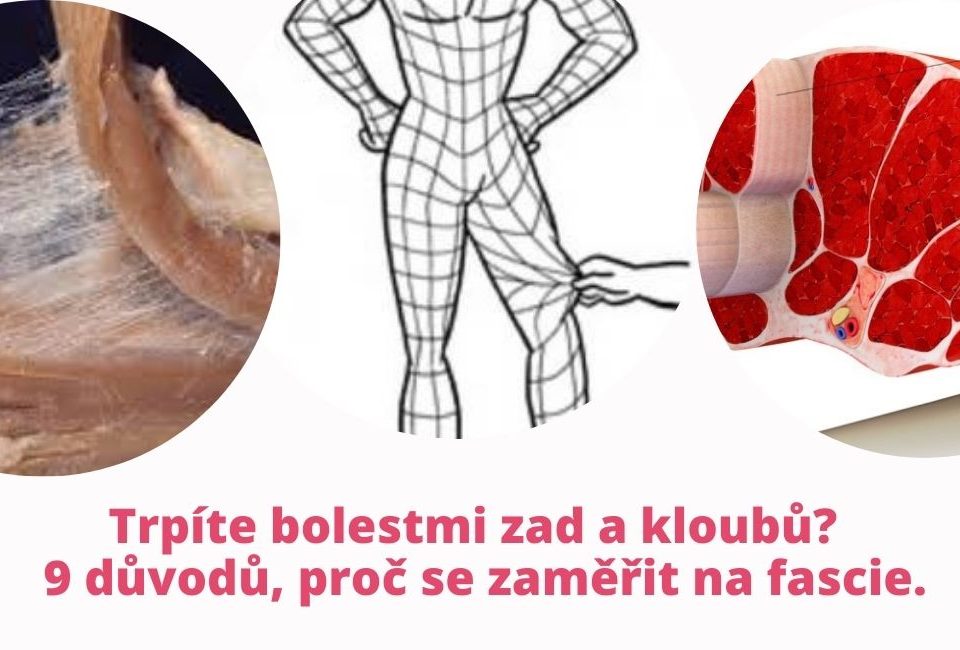 Suffer from Back and Joint Pain? 9 Reasons to Focus on Your Fascia