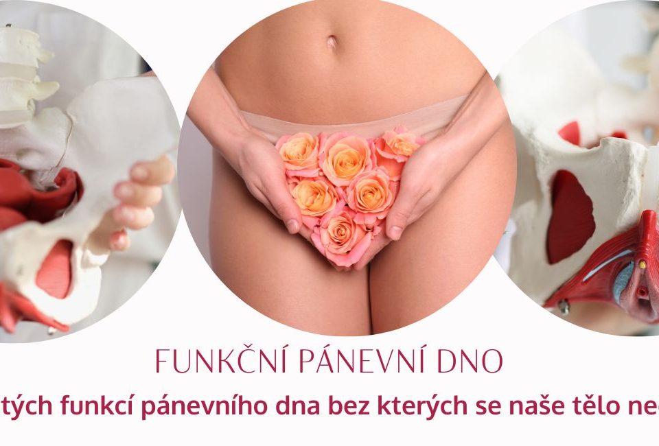 The Functional Pelvic Floor: A Complete Guide