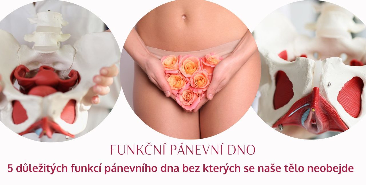 The Functional Pelvic Floor: A Complete Guide