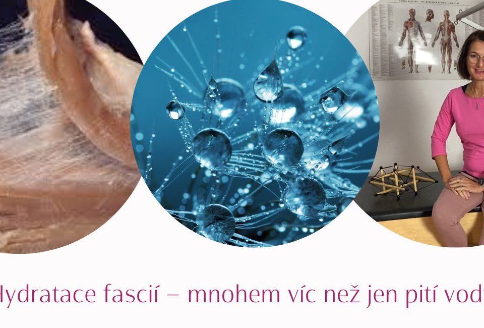 Fascial Hydration: Why It’s About More Than Just Drinking Water